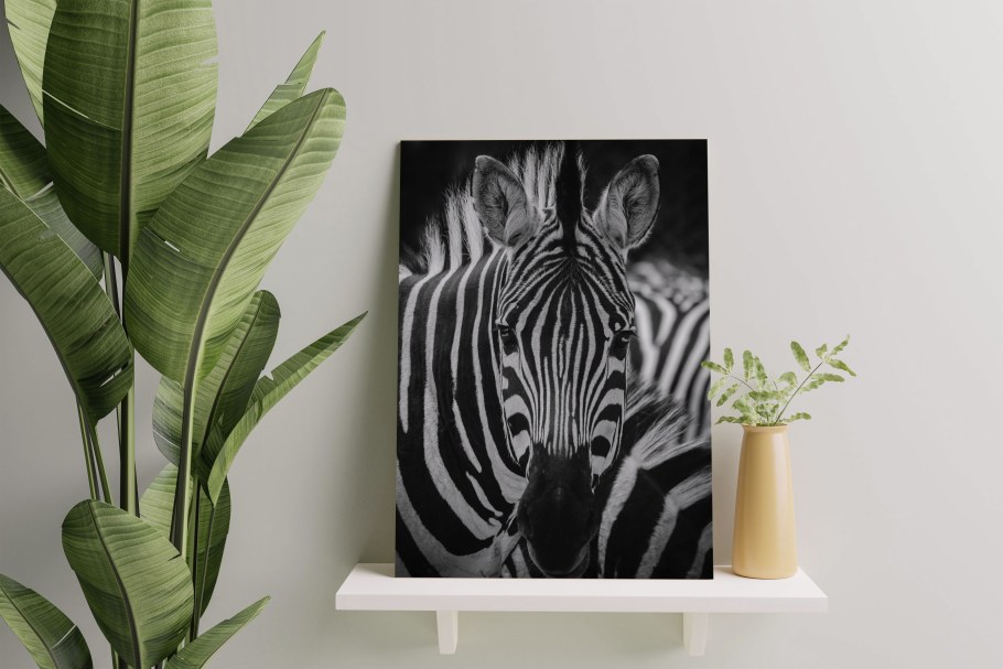 Интерьерная картина Зебра