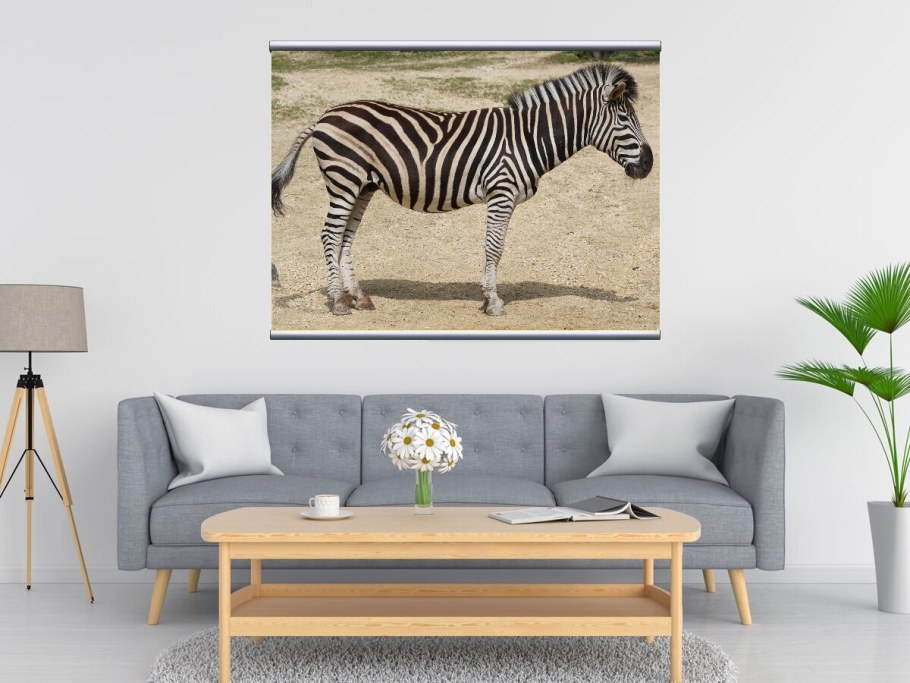 Зебра из Икеи