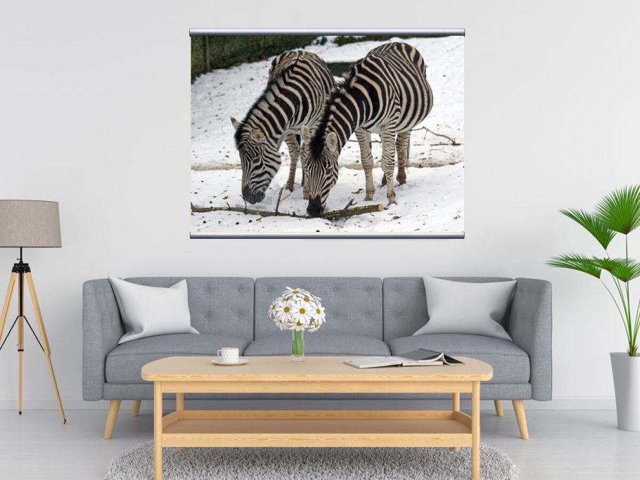 Панно Зебра