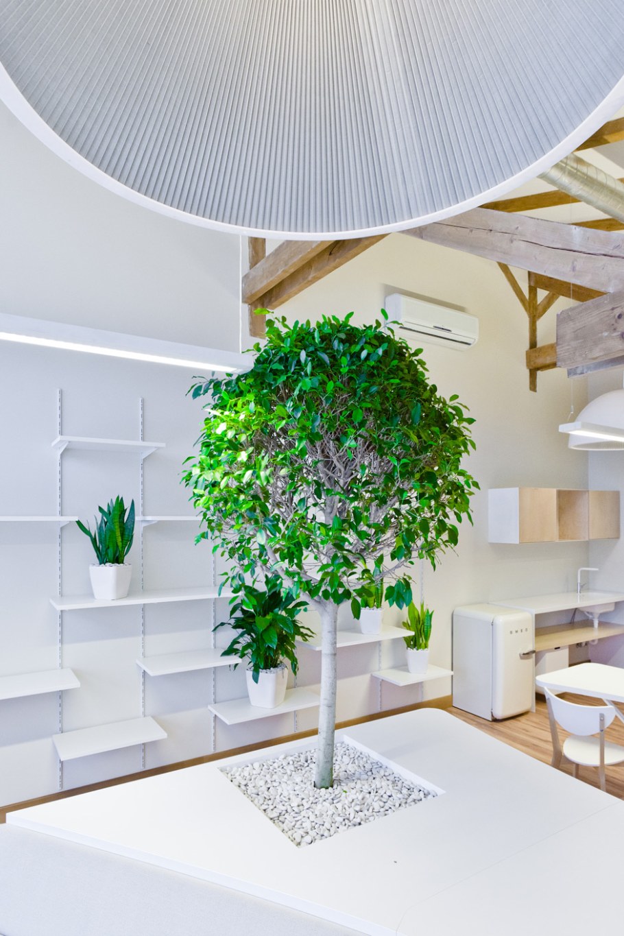 Искусственные декоративные деревья для интерьера