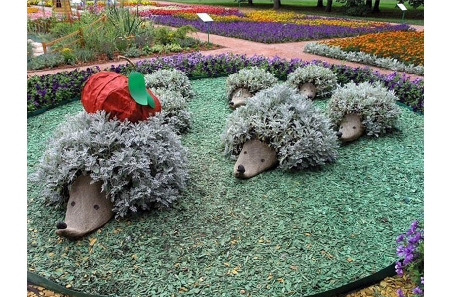 Композиции для сада своими руками