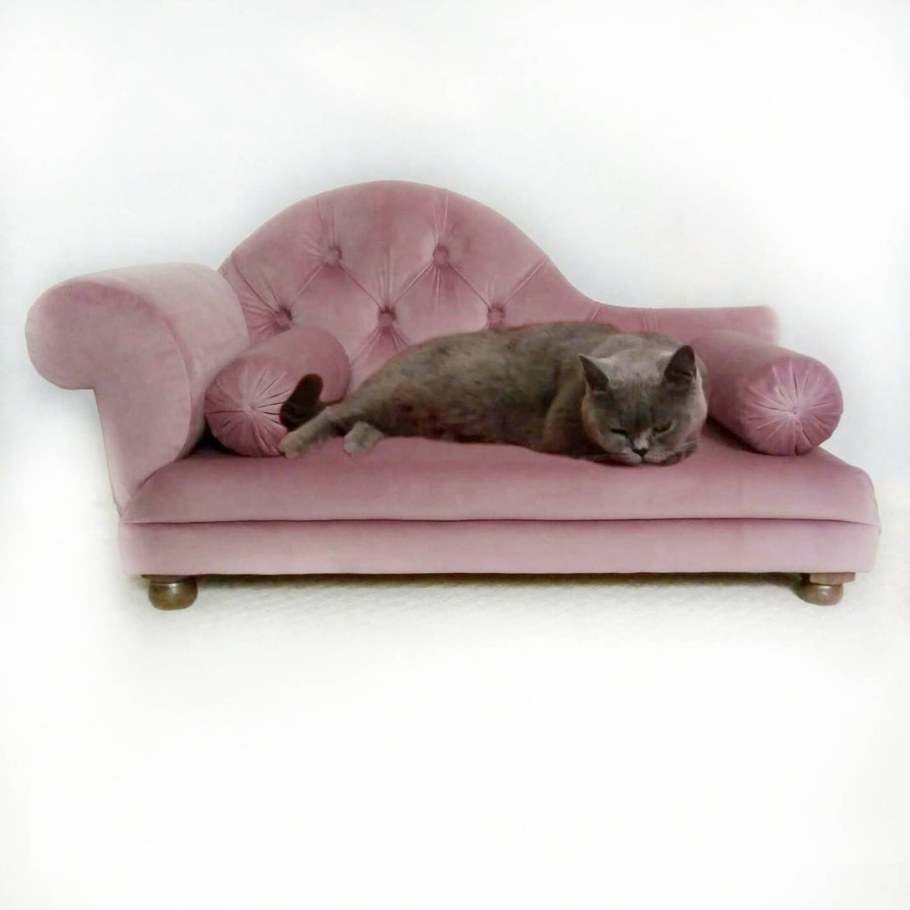 Cat Sofa дутыши