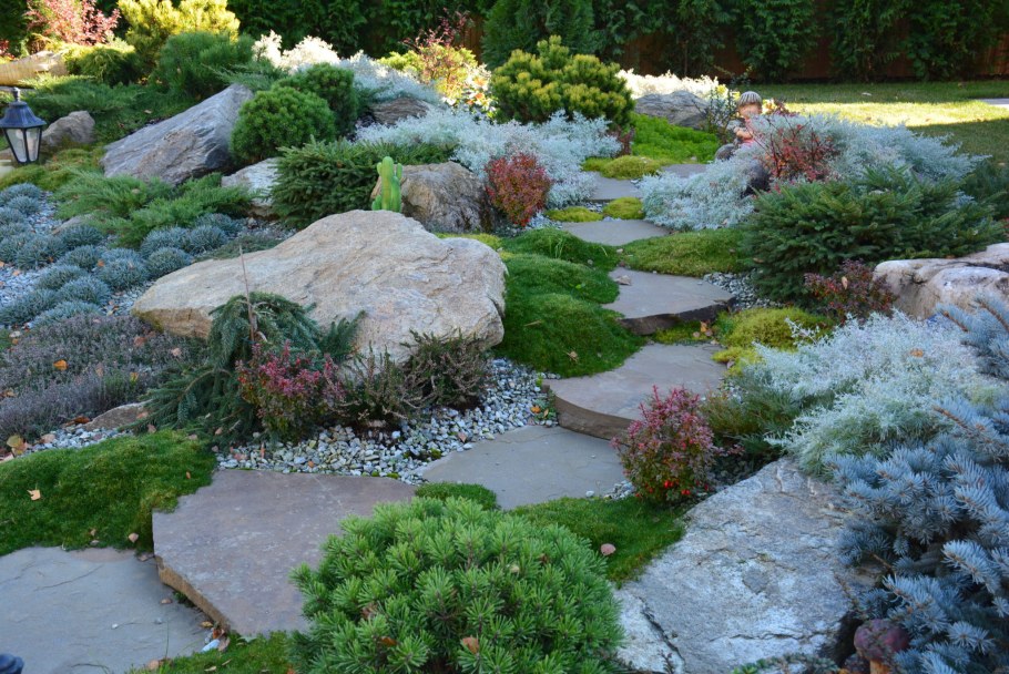 Полынь Шмидта Artemisia schmidtiana Silver Mound