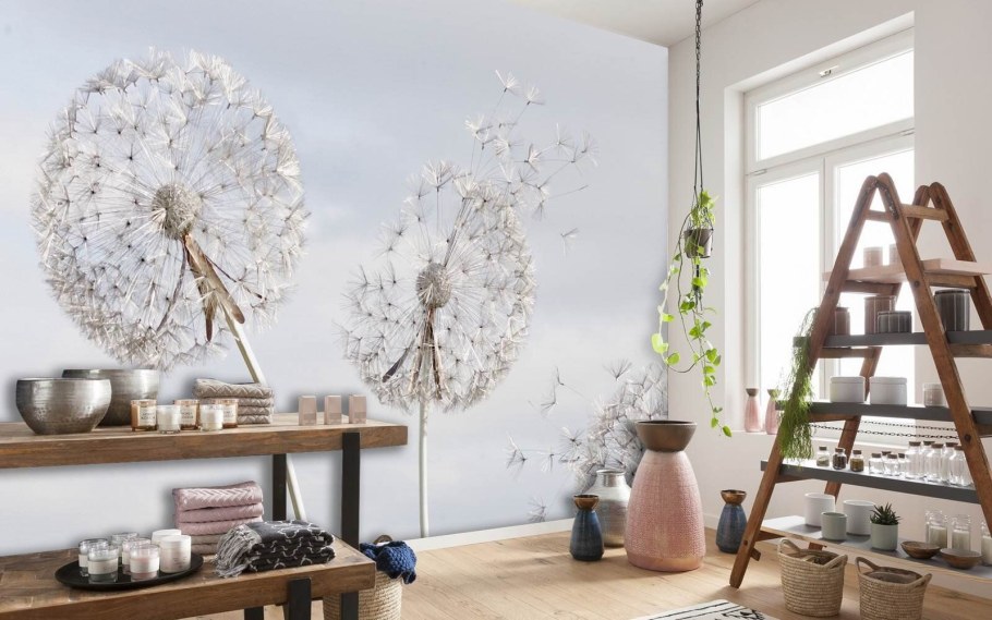 Фотообои с одуванчиками в интерьере