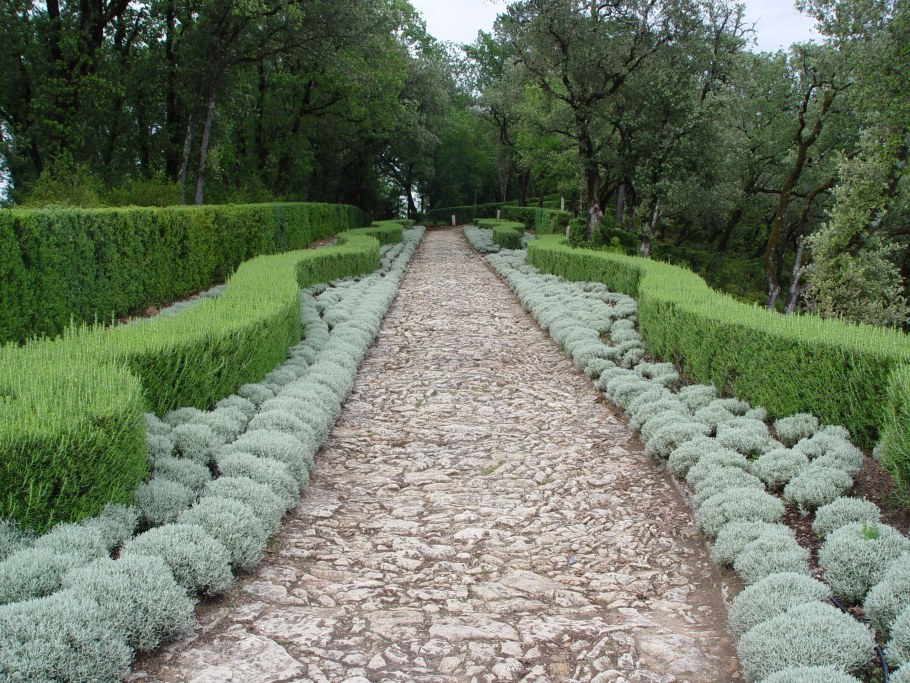 Полынь Шмидта Nana