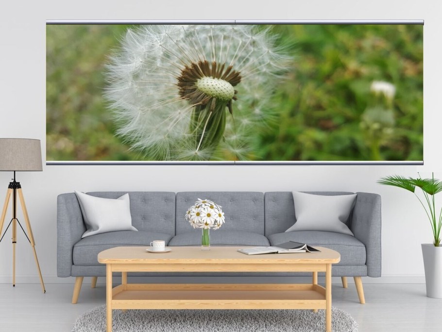 Фотообои с одуванчиками в интерьере