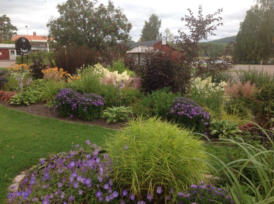 Бордюр из спиреи и шалфея