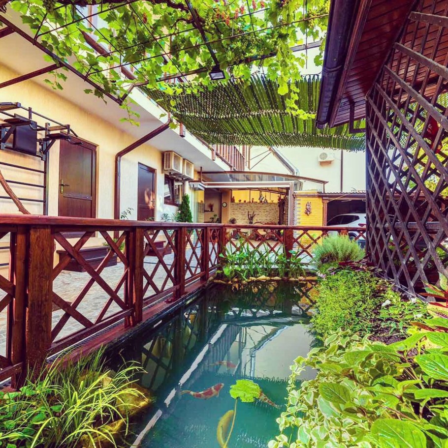 Золотая рыбка Геленджик