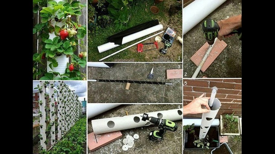 Вертикальные грядки для клубники