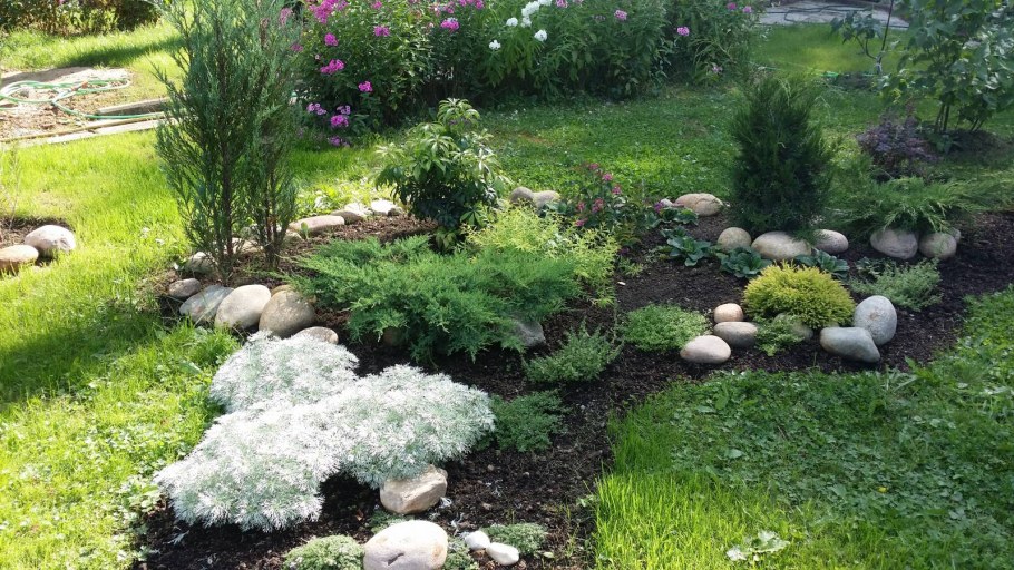 Полынь Шмидта Нана