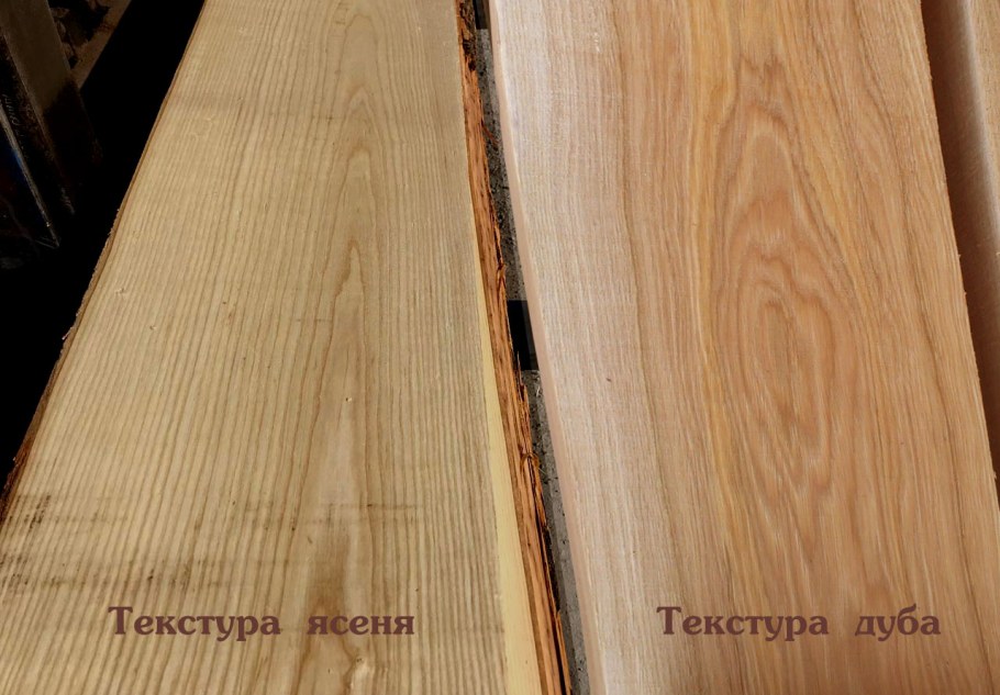 Дуб бук ясень