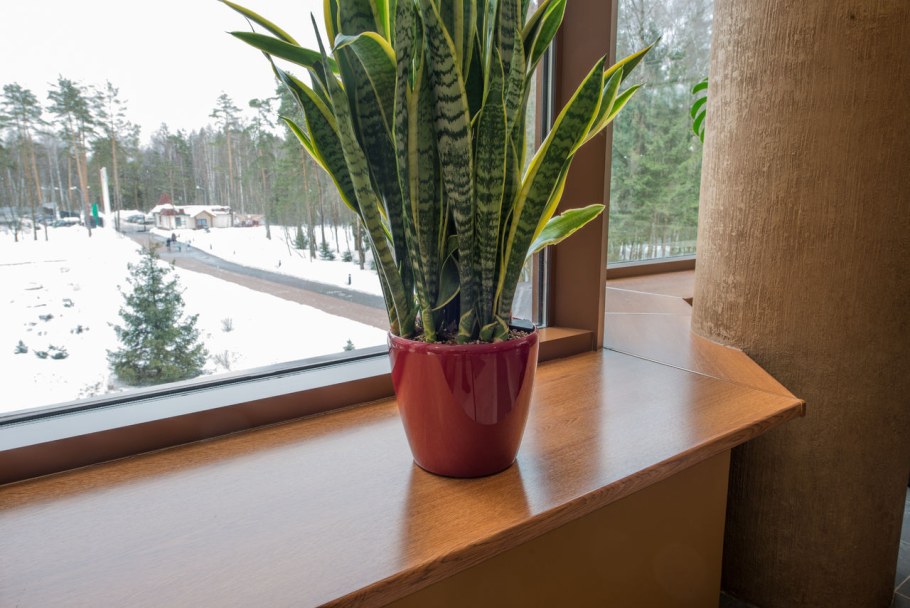 Подоконник Меллер золотой дуб матовый