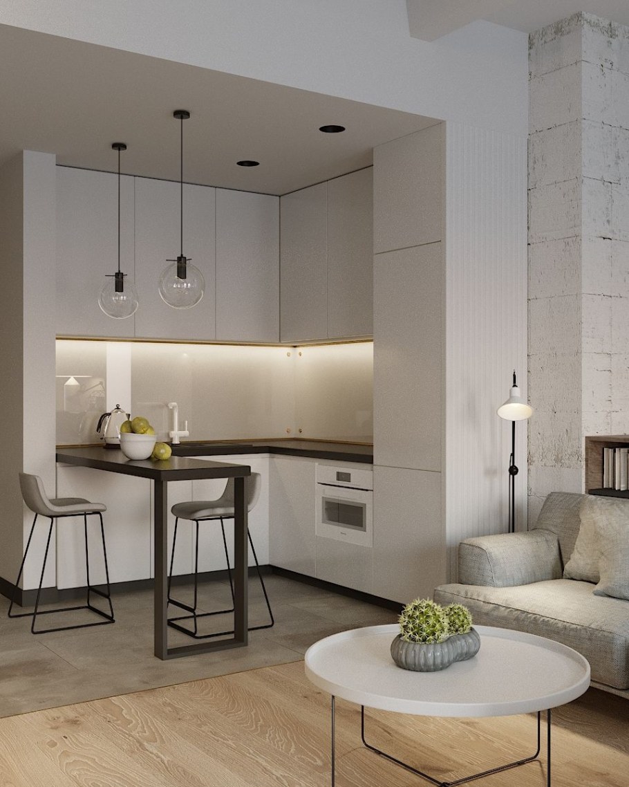 Кухня-гостиная 20 кв.м евродвушка