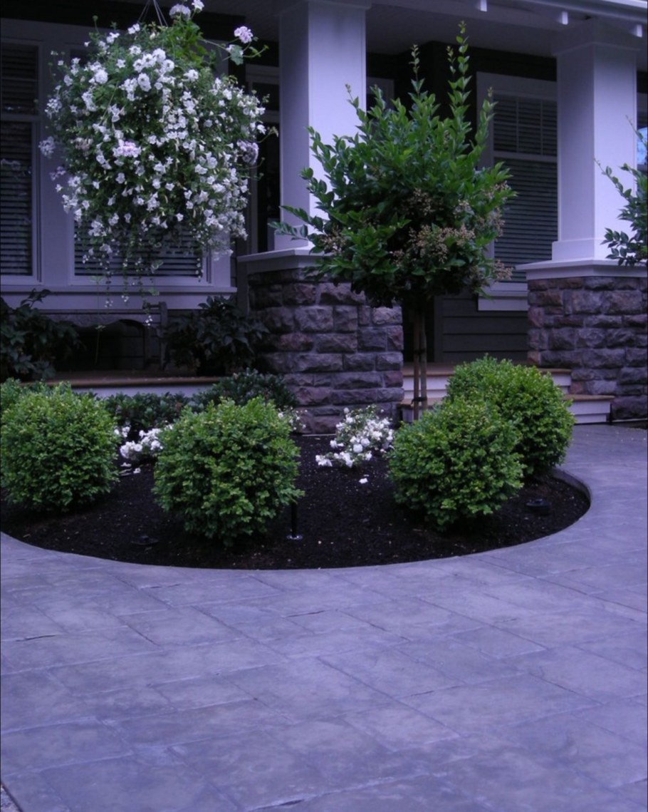 Озеленение двора