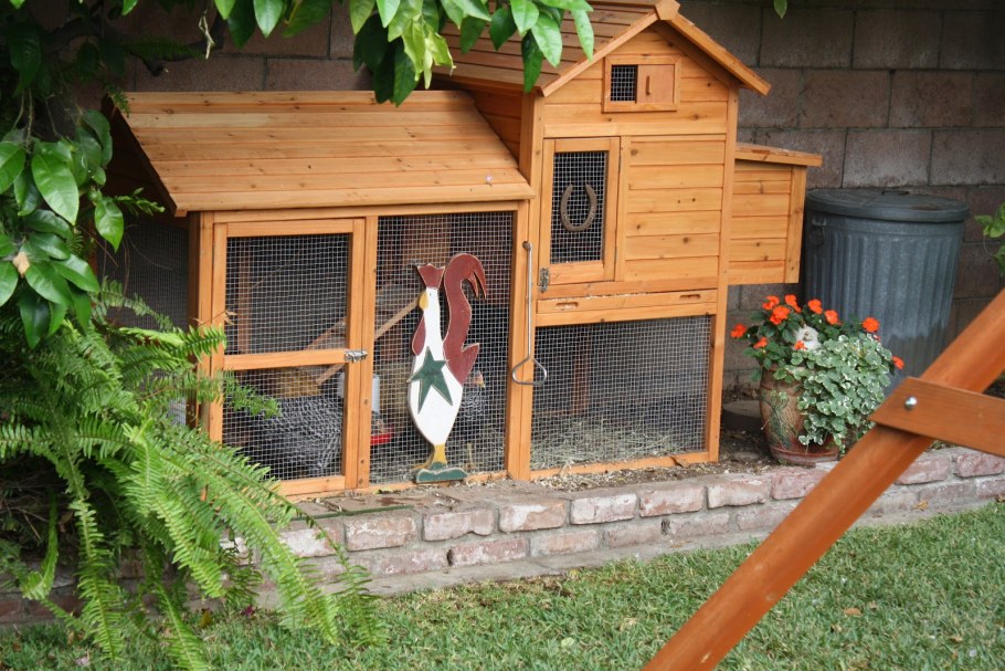 Курятники Дрондина