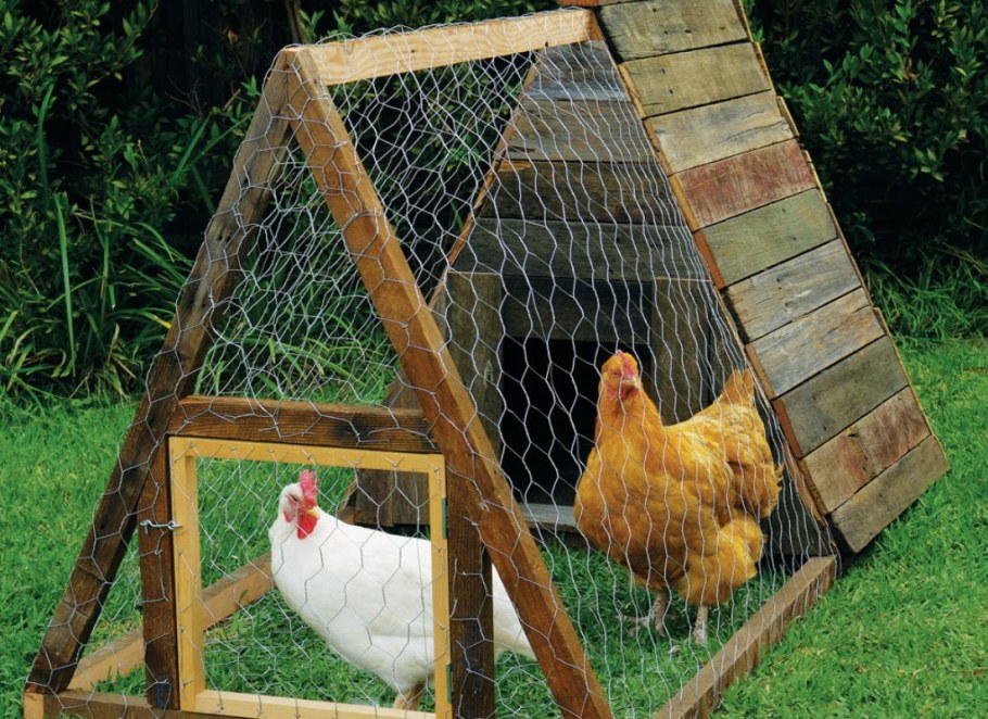 Курятник на 5 кур