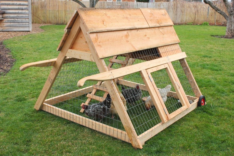 Маленький курятник для 5 кур