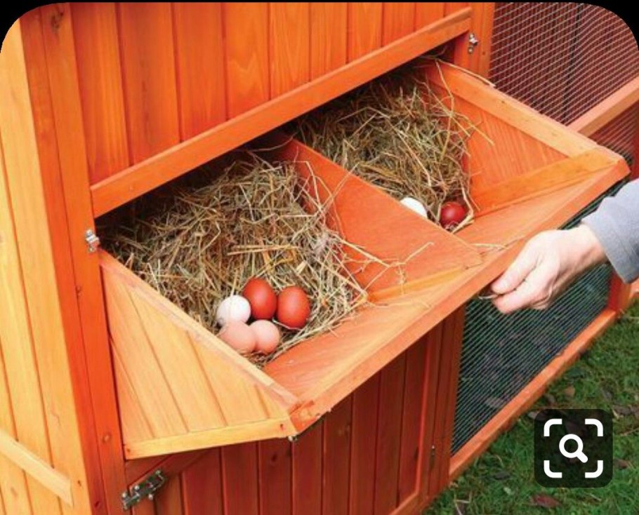 Курятник на 30 кур несушек