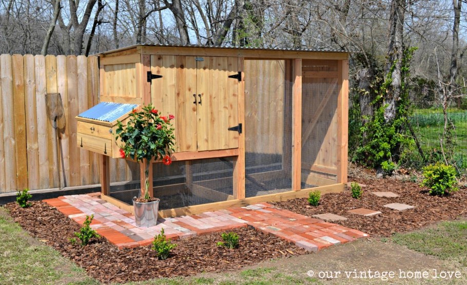 Мини курятник на 5 кур