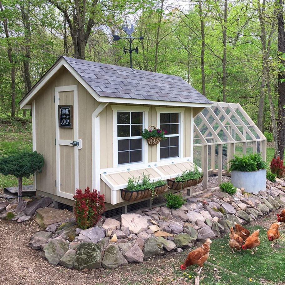 Сарайчик с курятником