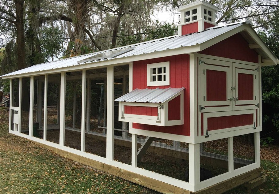 Курятники Дрондина