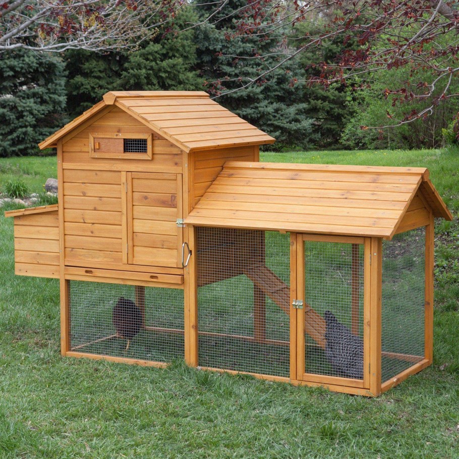 Мини курятник на 5 кур