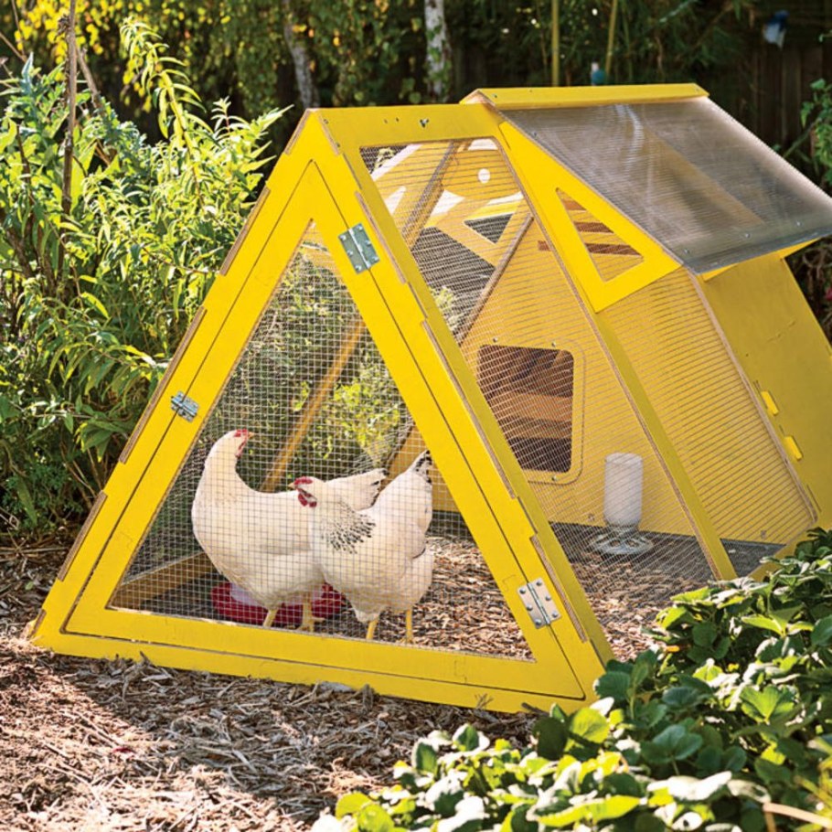 Курятник на 5 кур