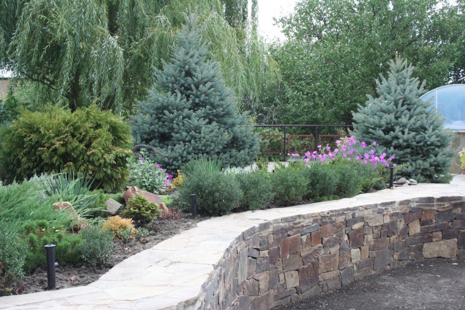 Миксбордер с туями