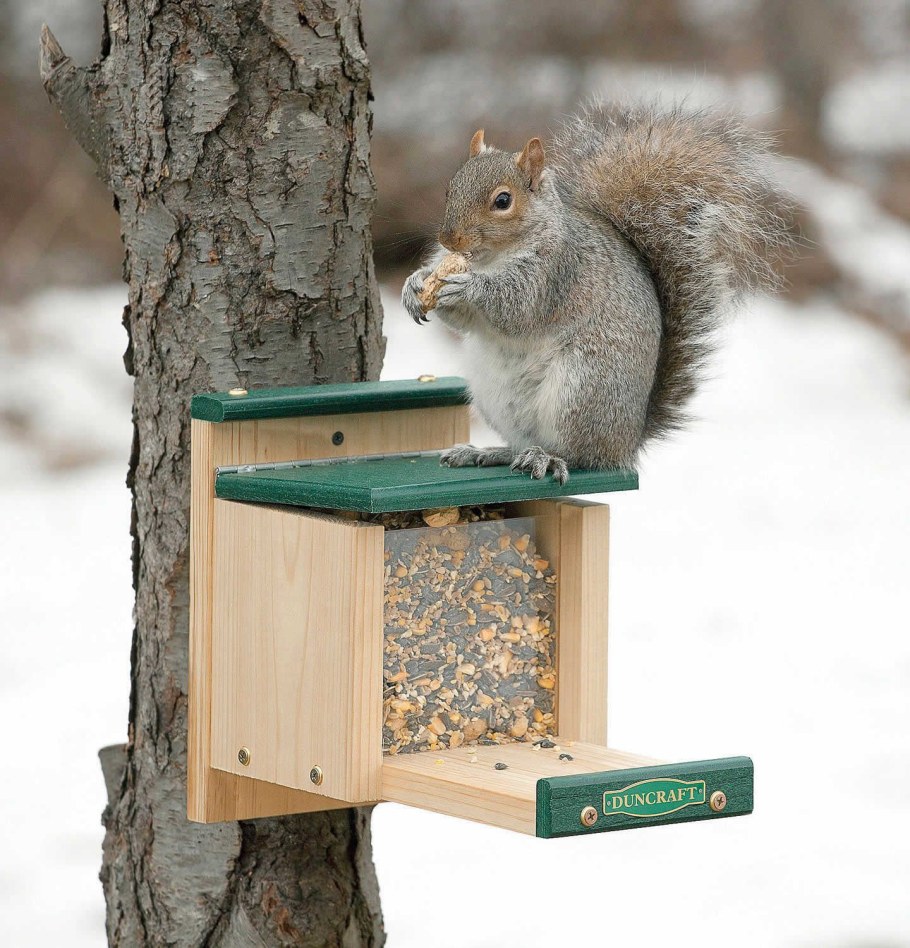 Скворечник-бельчатник "щегол"