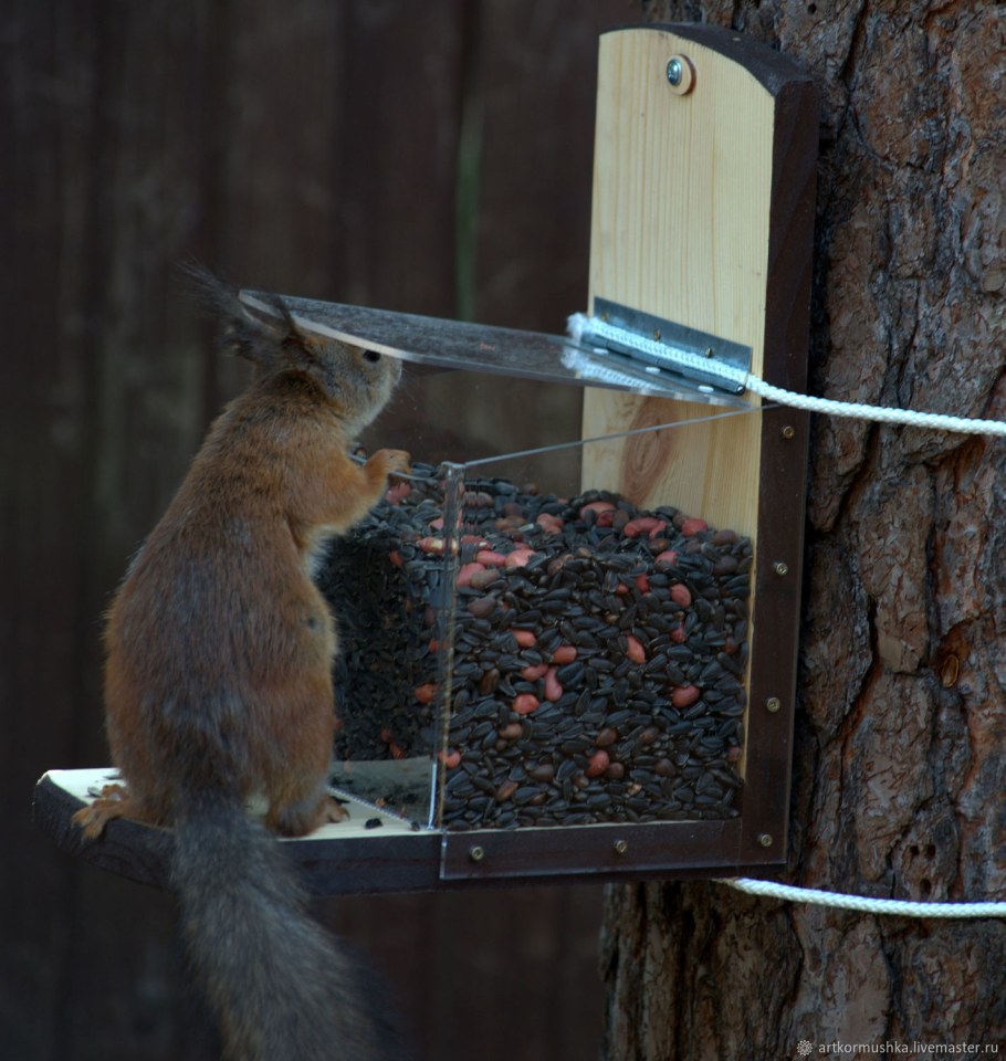 Кормушка для белки