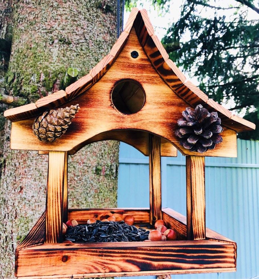 Кормушки для декоративных белок