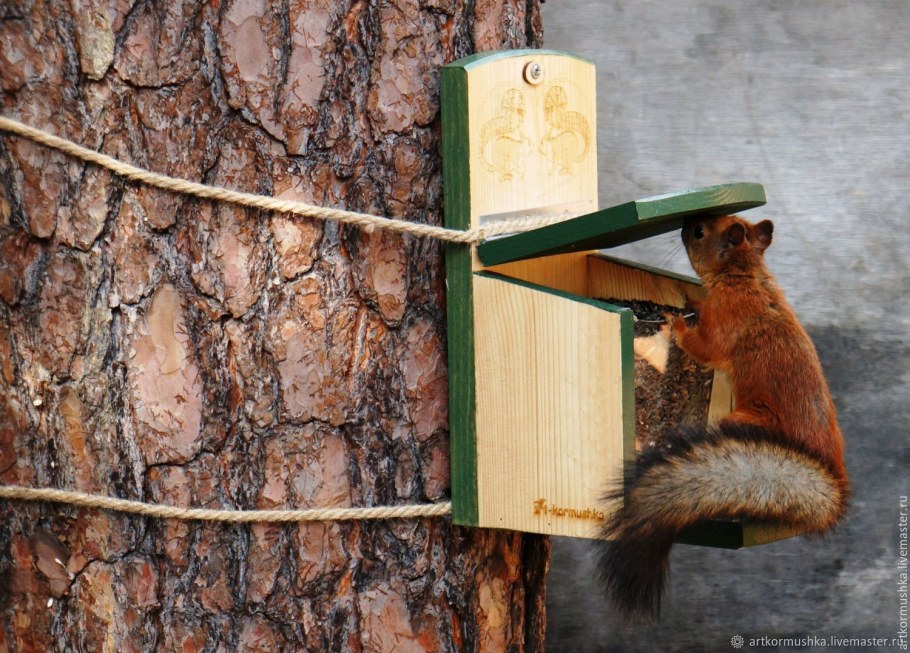 Домик для белок