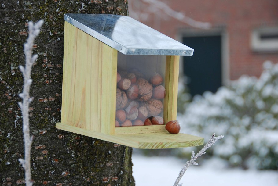 Кормушка для белки