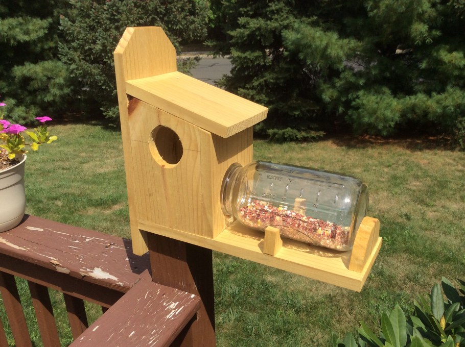 Бельчатник с кормушкой