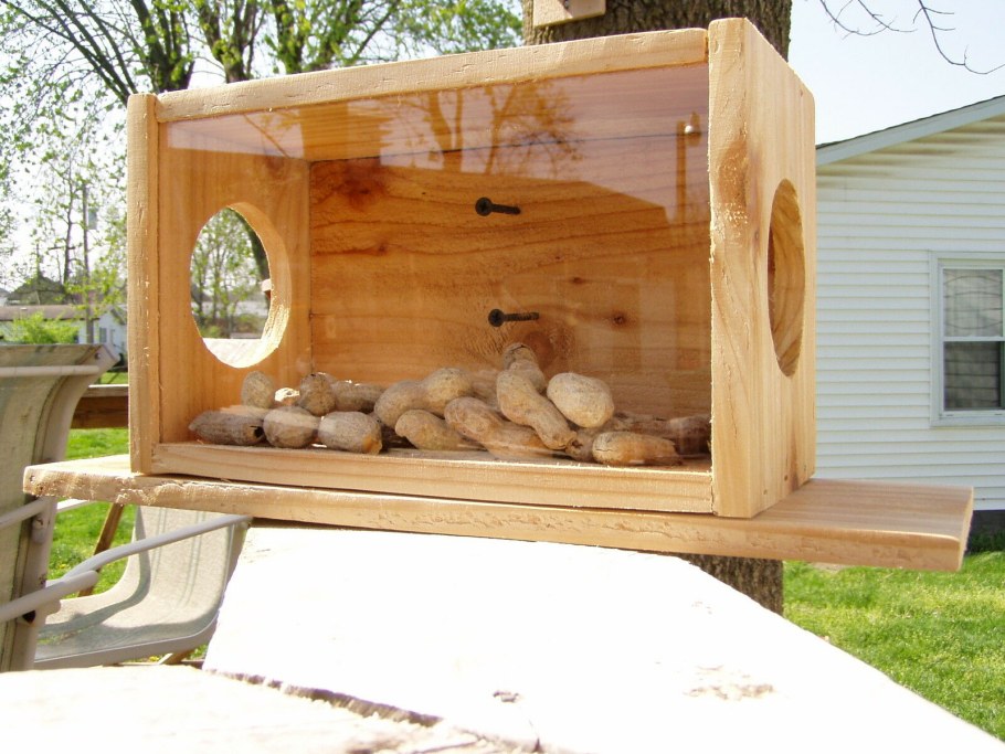 Домик для белочки