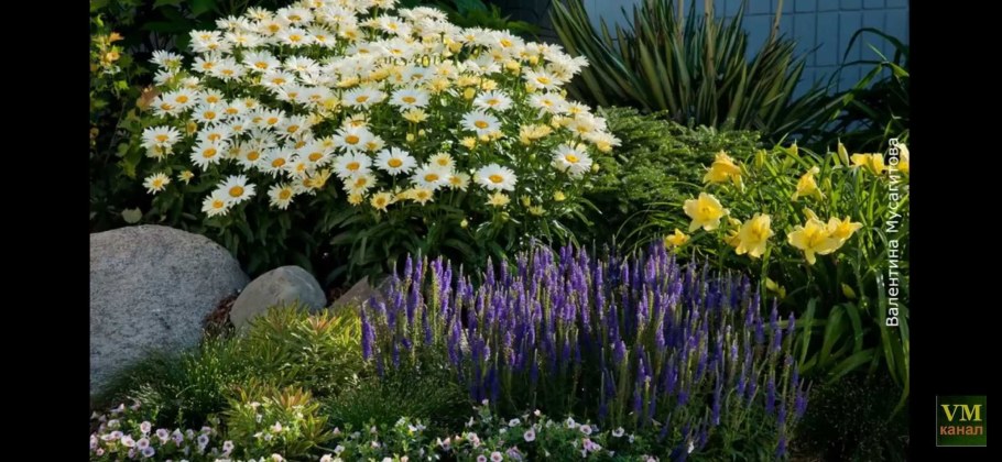 Нивяник Бродвей Лайтс