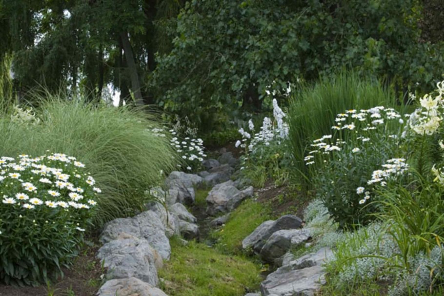 Спирея и злаки