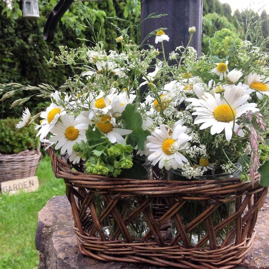 Композиция из ромашек