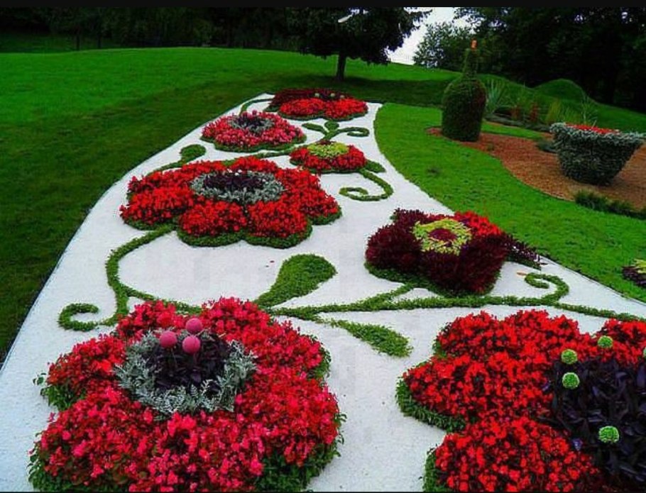 Моноклумба петуния