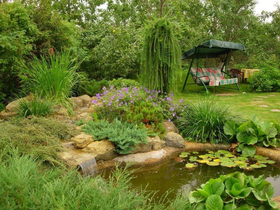 Ива Извилистая в ландшафте