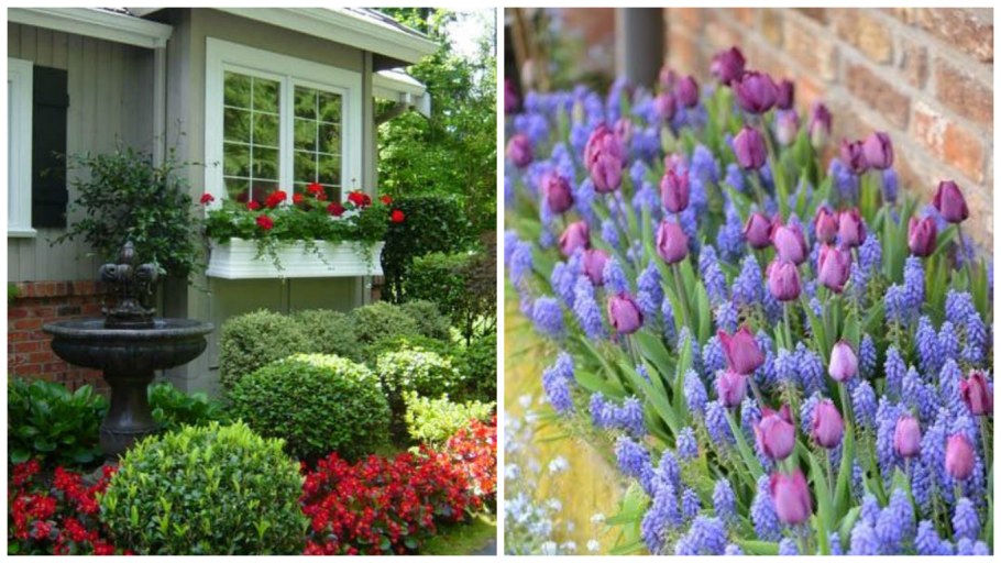 Неприхотливые цветы для дачи