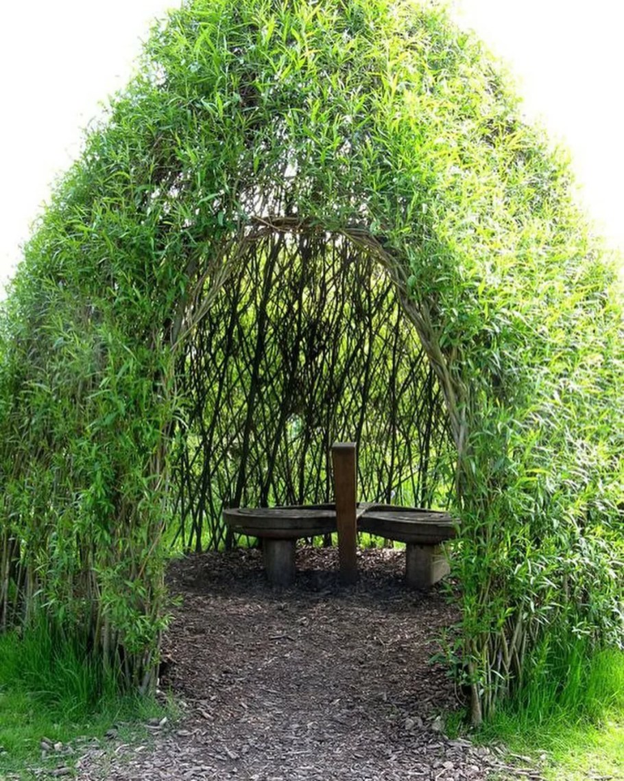 Ива плакучая в ландшафтном