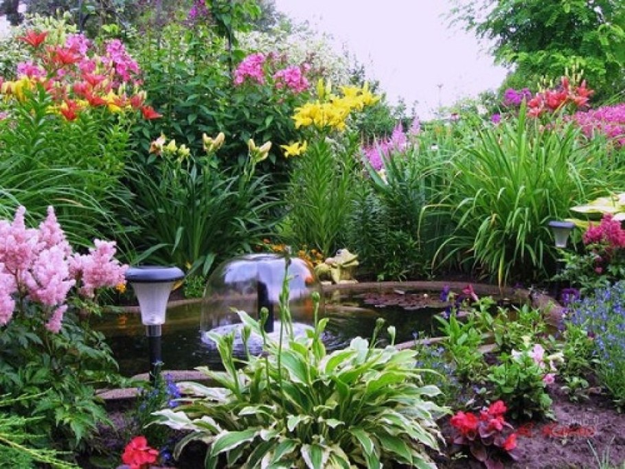 Клумба с астильбой и лилейником