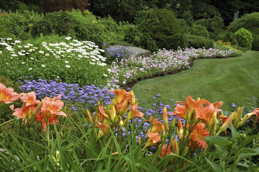 Композиции с лилиями в саду