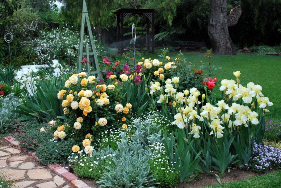 Клумба пионы лилейники ирисы