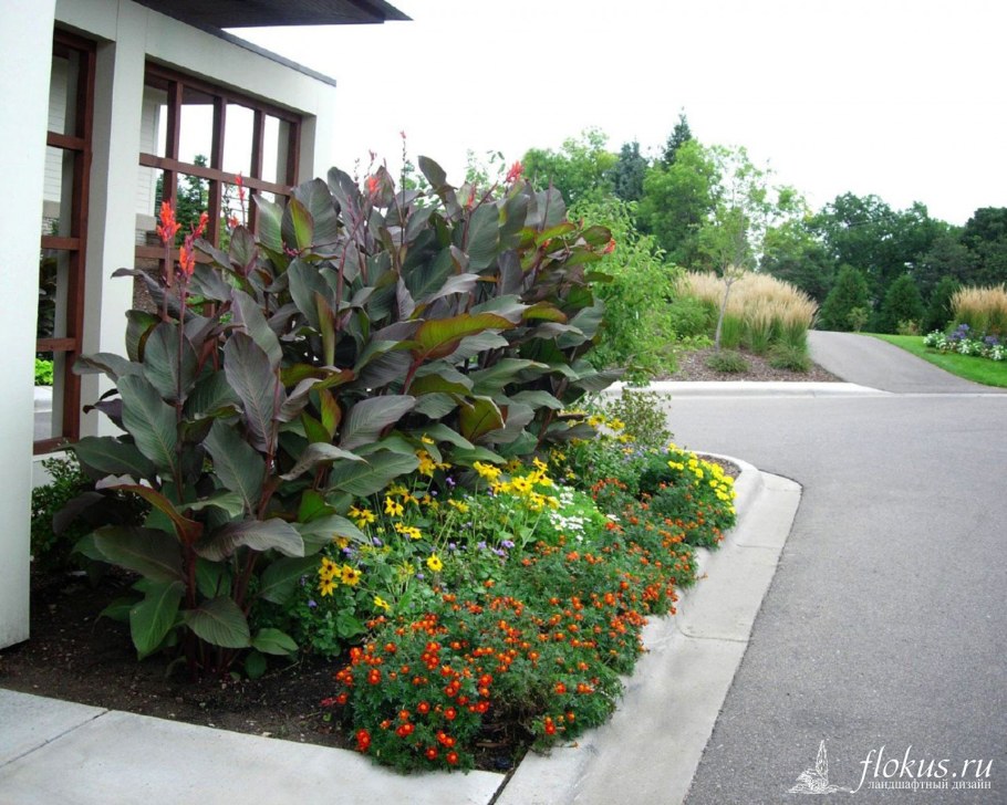 Клумба Юкка Канна