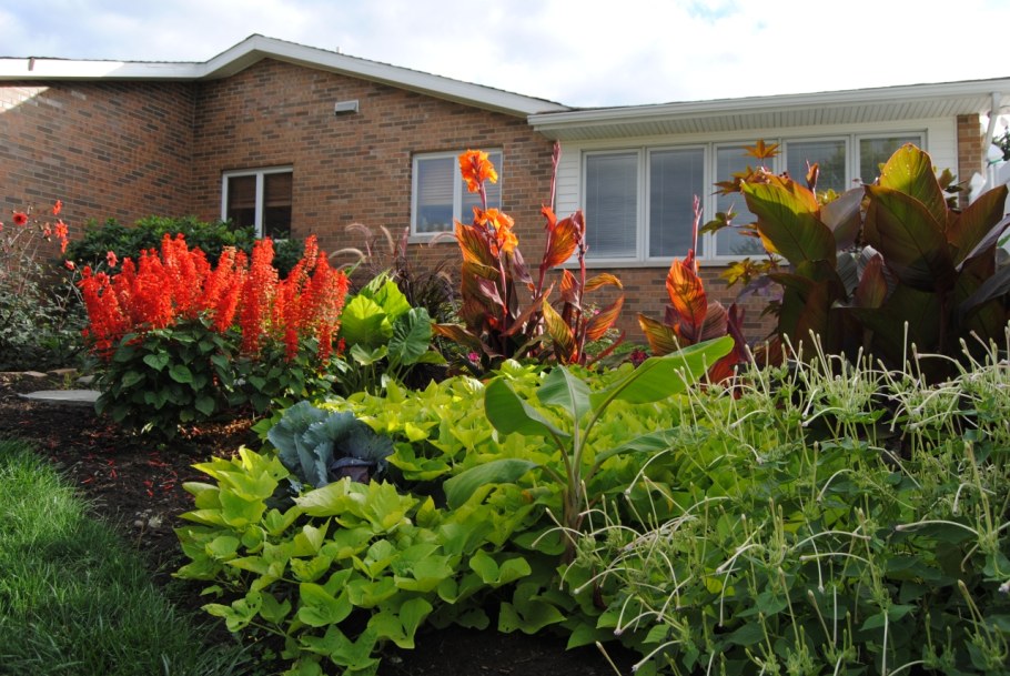 Канны в ландшафте