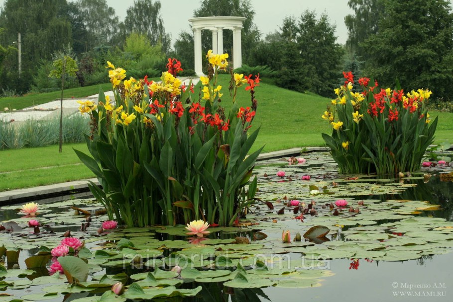 Водные Канны Марченко