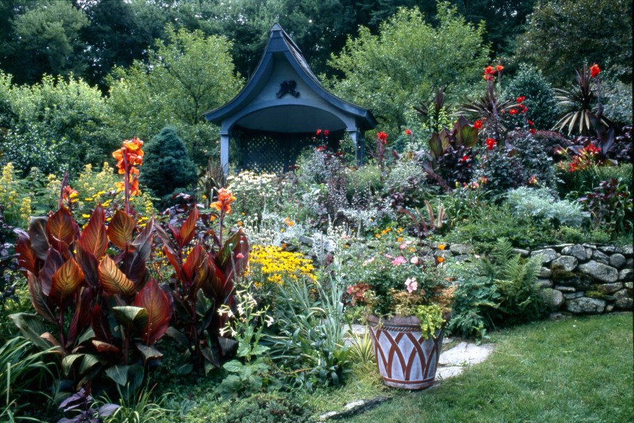 Цветы в саду