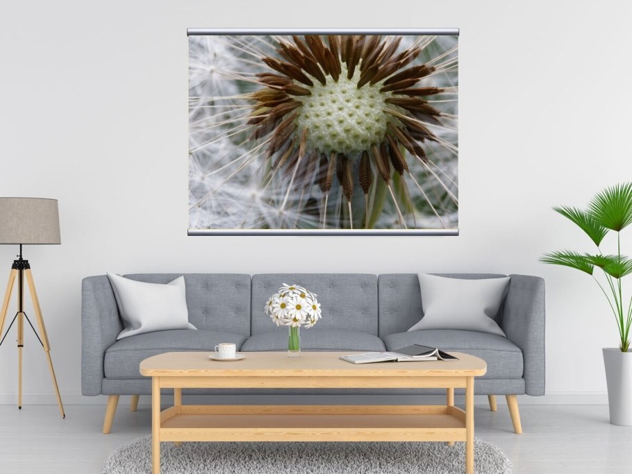 Интерьерная картина одуванчики
